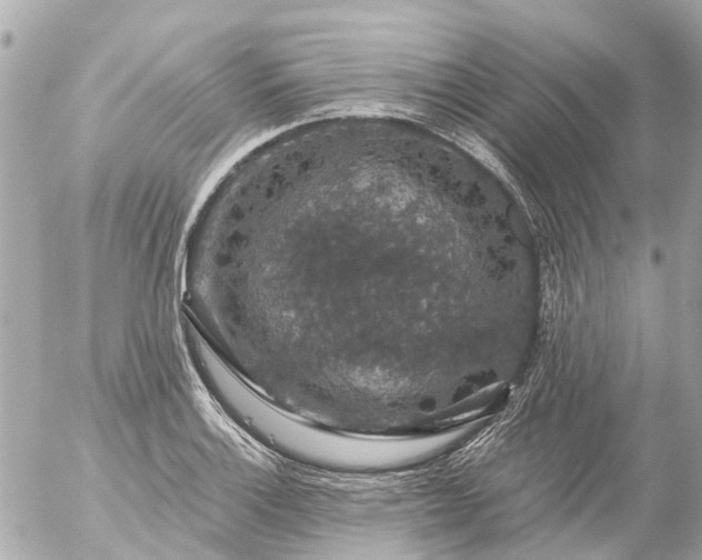 X0000056321132200509092256