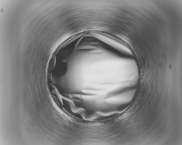 X0000056321135200509092256