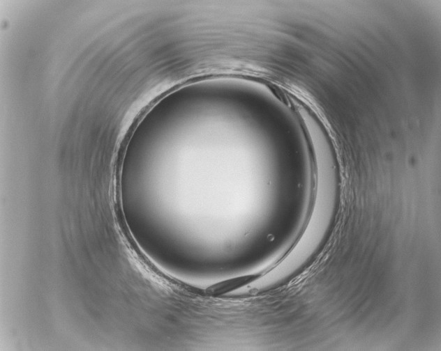 X0000056321136200509092256