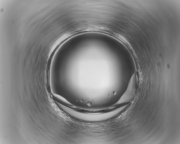 X0000056321138200509092256