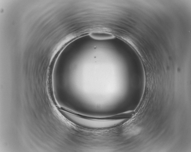 X0000056321139200509092256