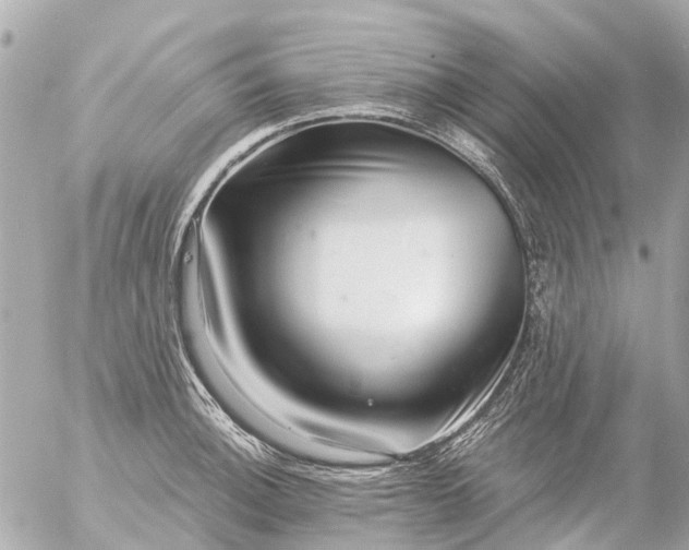 X0000056321140200509092256