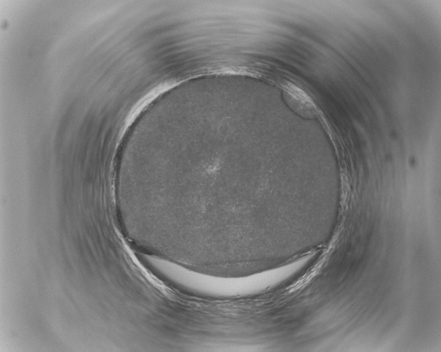 X0000056321141200509092256