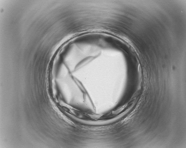 X0000056321142200509092256