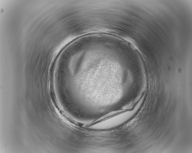 X0000056321143200509092256