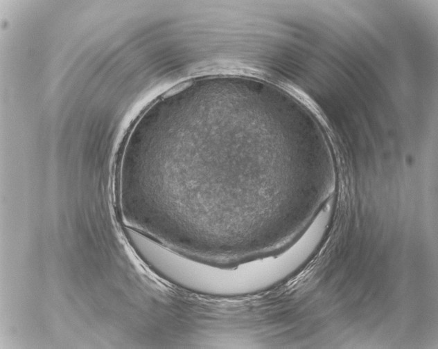 X0000056321144200509092256