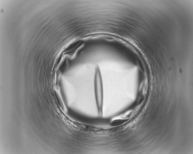 X0000056321145200509092256