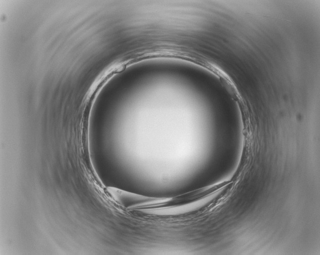 X0000056321146200509092256