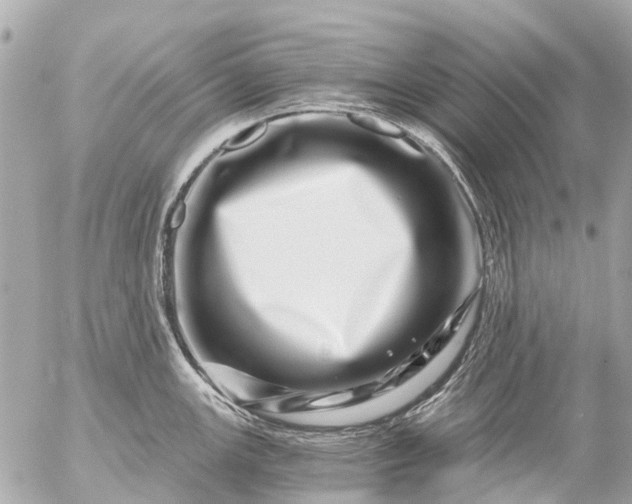 X0000056321147200509092256