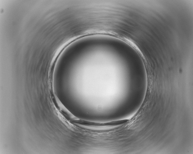 X0000056321148200509092256