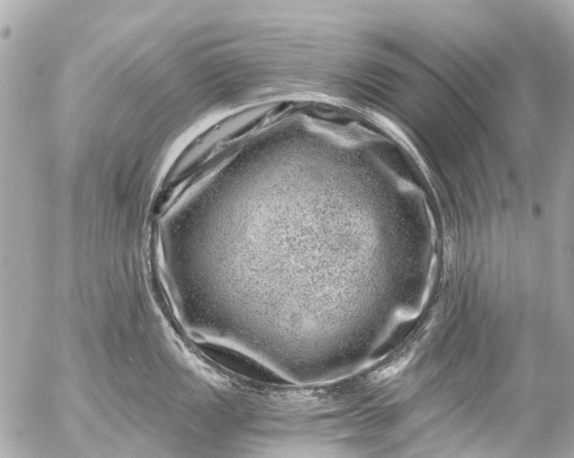 X0000056321149200509092256