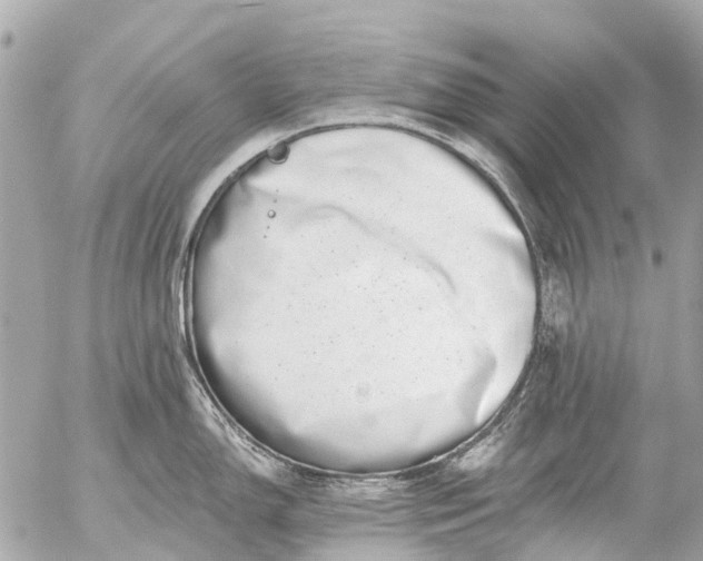 X0000056321150200509092256