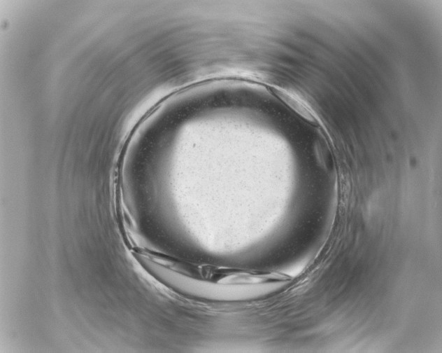 X0000056321151200509092256