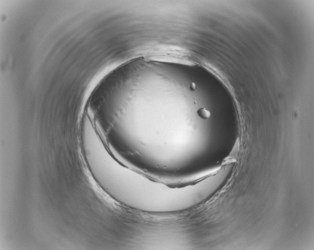 X0000056321152200509092256