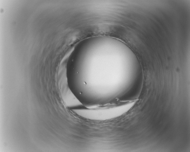 X0000056321153200509092255