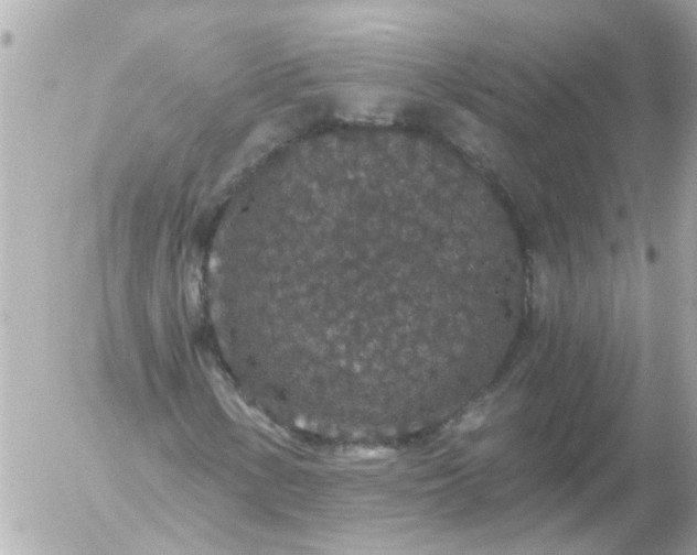 X0000056321154200509092255