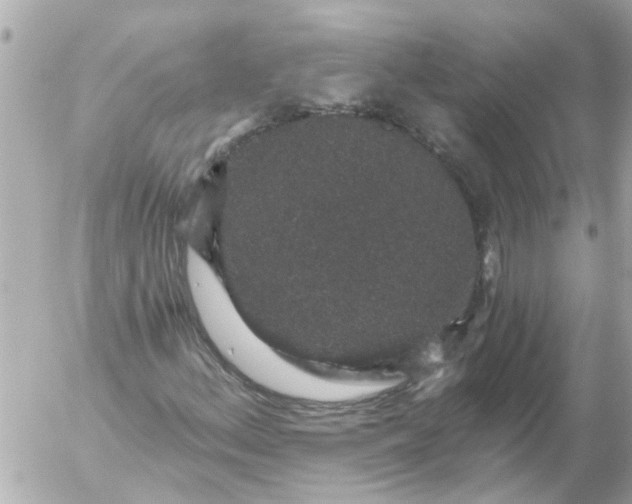 X0000056321156200509092255