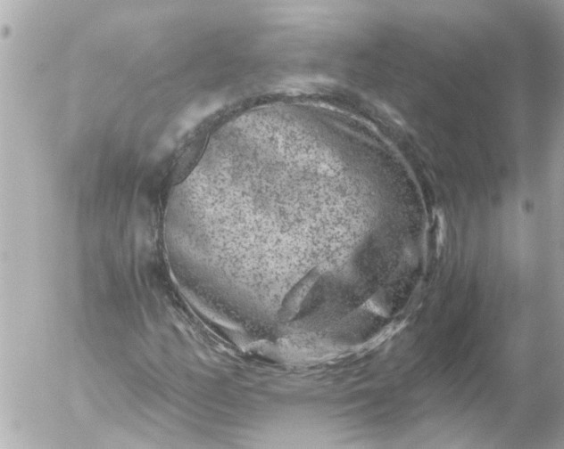 X0000056321158200509092255