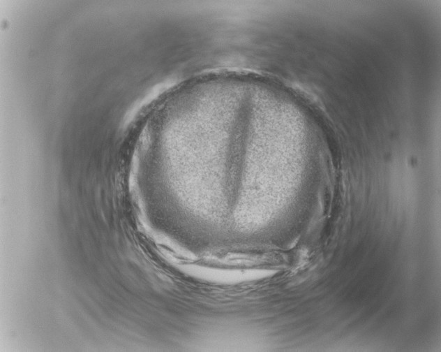 X0000056321159200509092255