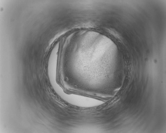 X0000056321160200509092255