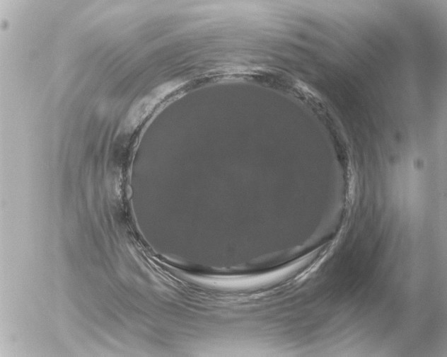 X0000056321161200509092255