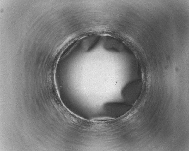 X0000056321162200509092255