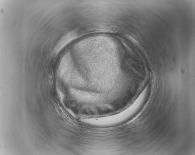 X0000056321163200509092255