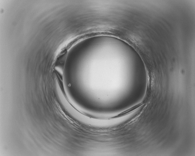 X0000056321164200509092255