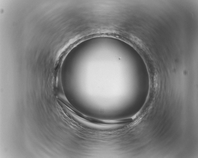 X0000056321165200509092255