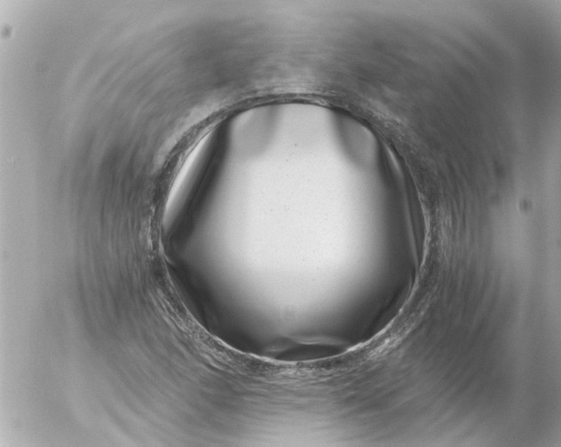 X0000056321166200509092255