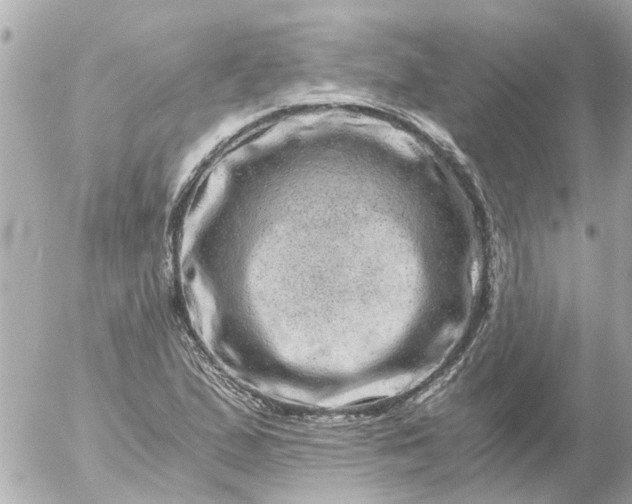 X0000056321167200509092255