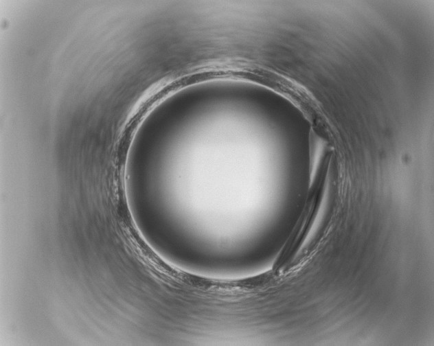 X0000056321168200509092255