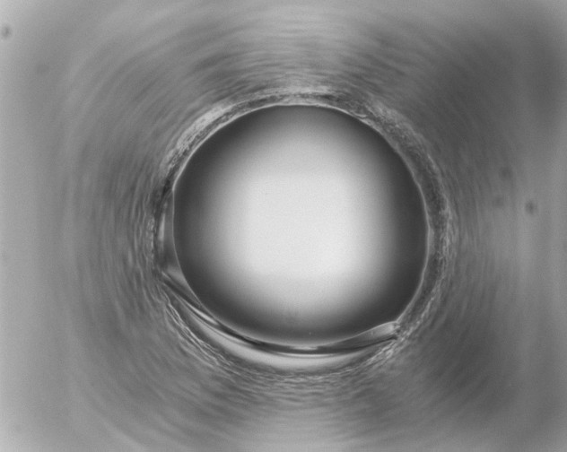 X0000056321169200509092255