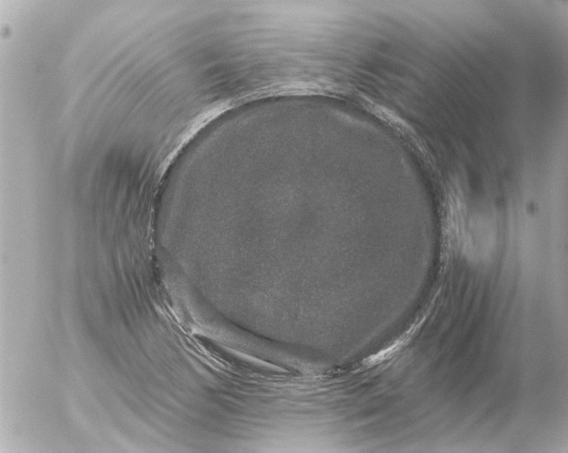 X0000056321170200509092255