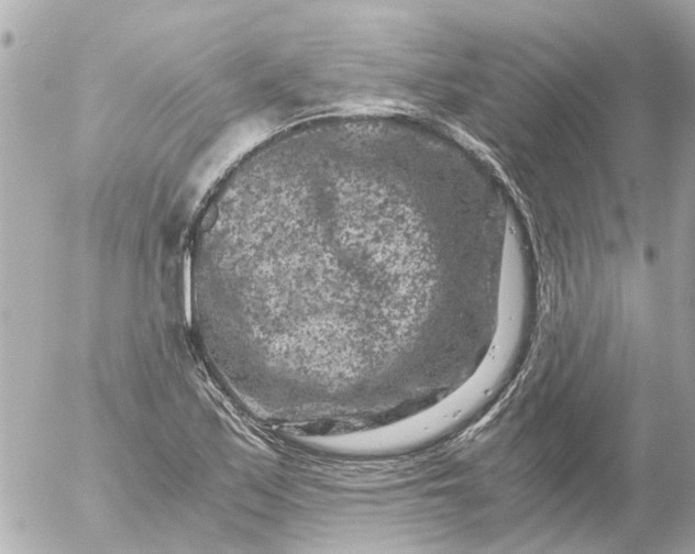 X0000056321171200509092255