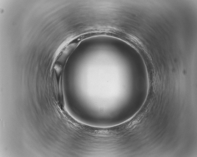 X0000056321172200509092255