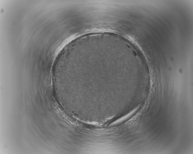 X0000056321173200509092255