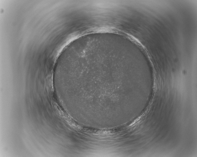 X0000056321174200509092255