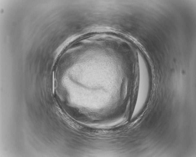 X0000056321175200509092255