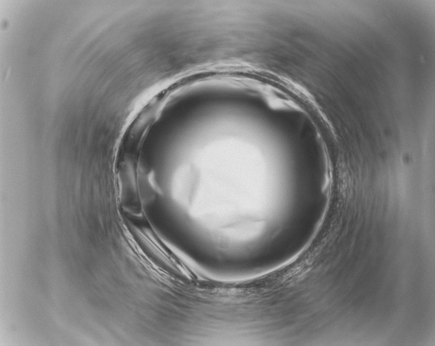 X0000056321176200509092255