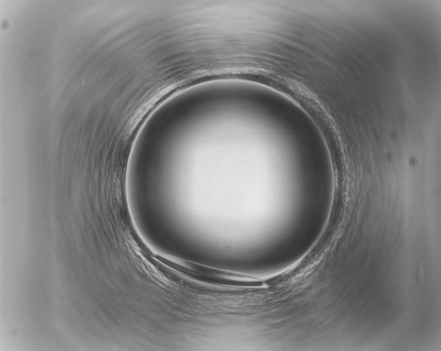 X0000056321177200509092255