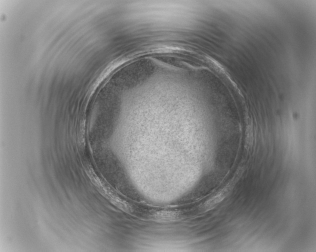 X0000056321178200509092255