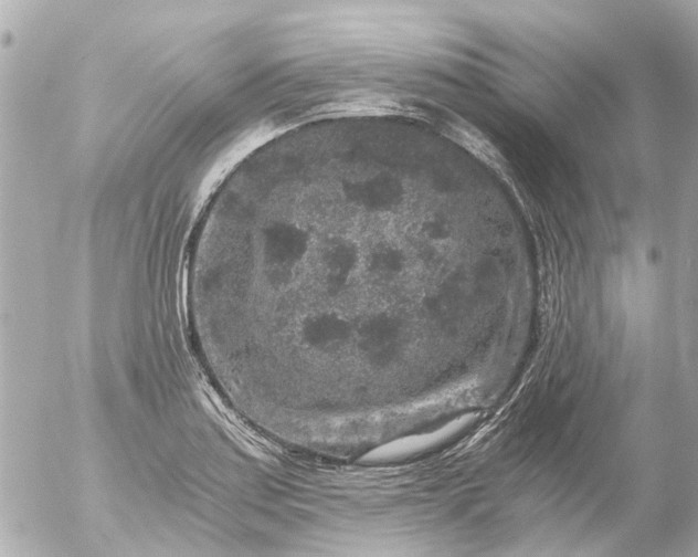 X0000056321179200509092255