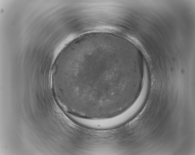 X0000056321180200509092255