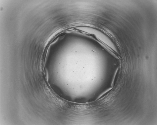 X0000056321182200509092255