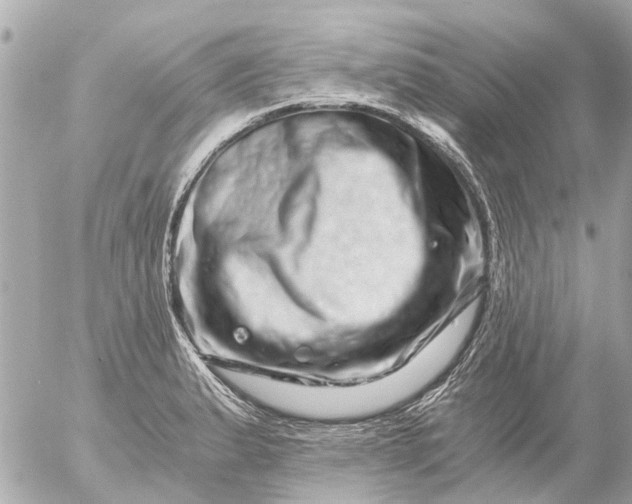 X0000056321183200509092255