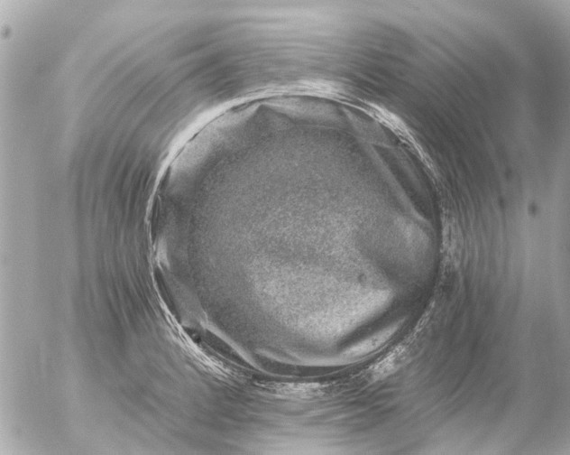 X0000056321184200509092255