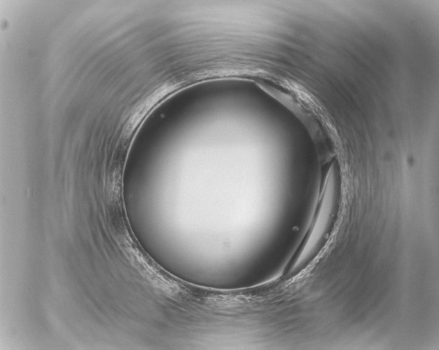 X0000056321185200509092255