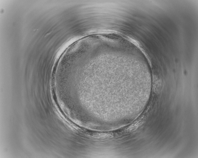 X0000056321187200509092255