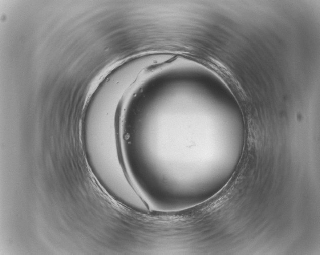 X0000056321188200509092255